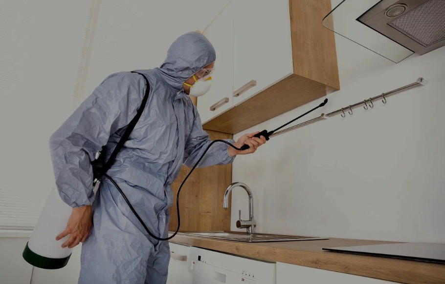 Pleasant Hill pest managment